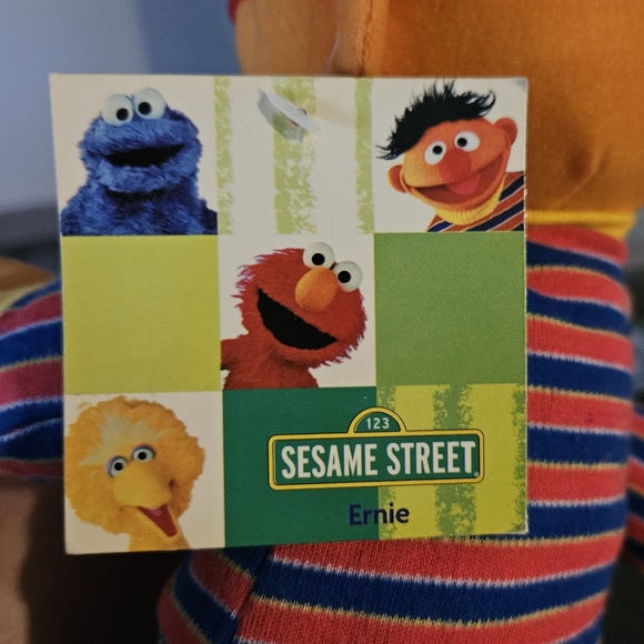 Ernie- Sesame Street - Picture 4 of 6